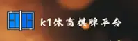 k1体育(K1TY)官方网站 - 值得信赖的棋牌游戏平台
